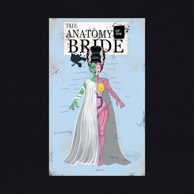 Anatomy of the Bride by The Asylum Countess